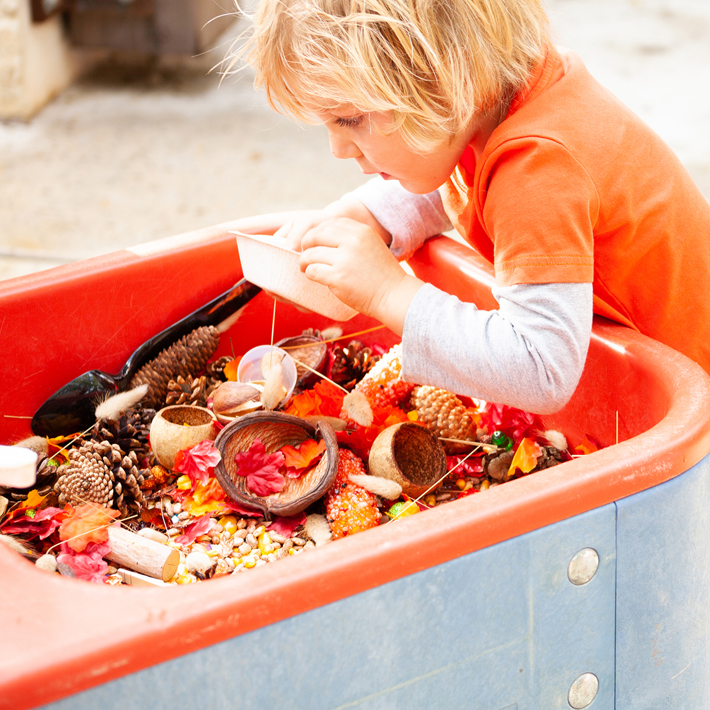 orange wheelbarrow